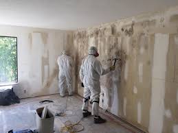 Forensic Mold Investigation in Westlake Village, CA